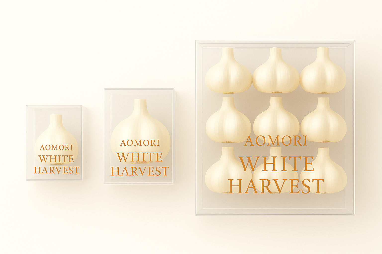 プレミアムA品 ギフト箱